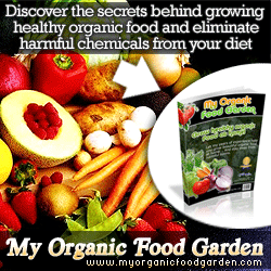 organic food gardening tips